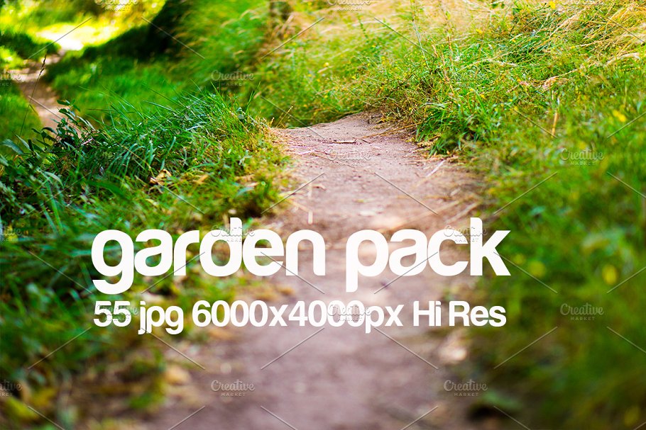 花园取景高清照片素材 garden park photo pack插图