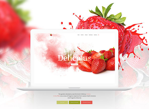 草莓主题网页模版 Product Landing Template – Strawberry
