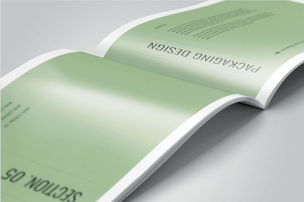 简约而专业的图形设计师产品组合杂志模板插图(16)