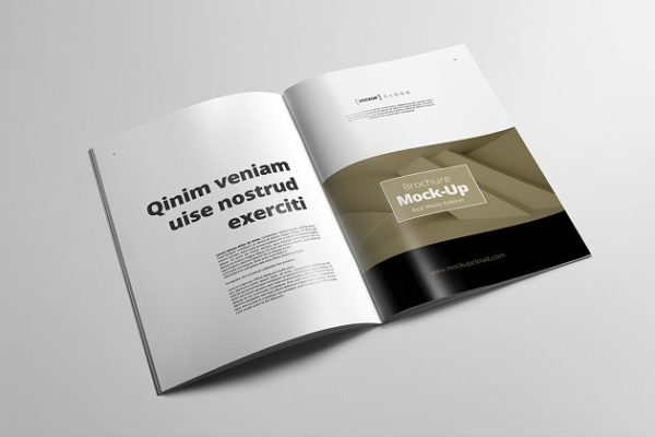 A4规格小册子说明书样机模板 Brochure Mock-Up / A4 Portrait