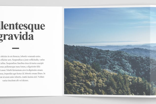 方形Z折小册子版面设计图样机素材库精选 Square Z-Fold Brochure Mock-Up插图(2)