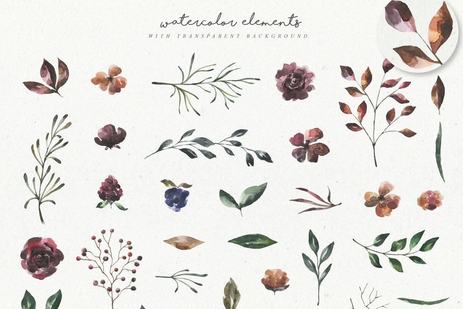 女性水彩花卉插画设计套装 Her Flowers Pro插图(7)