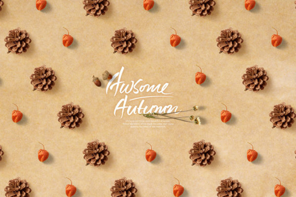 松果&amp;灯笼果海报背景图片psd素材