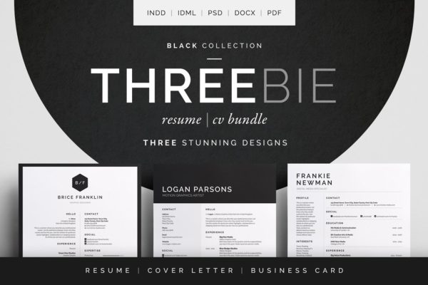 三合一个人简历模板下载 Threebie Resume/CV Bundle 3