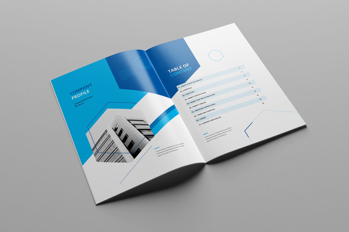 时尚简约高端的公司简介企业品牌手册楼书画册杂志设计模板插图(8)