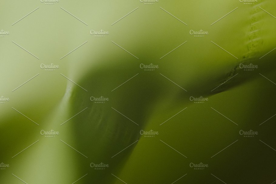 植物花卉特写镜头高清照片素材 Organic 2插图(13)