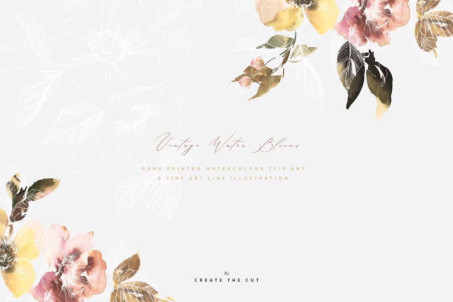 柔和优雅的水墨花朵矢量插画系列 Vintage Water Blooms插图(3)