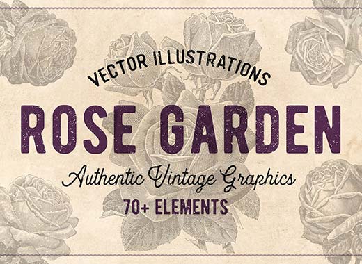 70款手绘怀旧风格的玫瑰花矢量素材下载[eps,png]