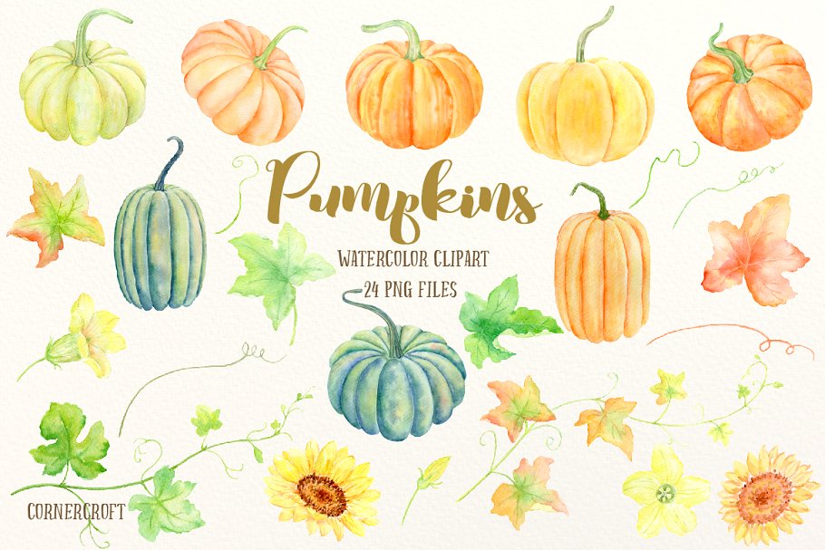南瓜(藤、叶子&花)水彩剪贴画、纹理 Watercolour Clipart Pumpkins插图(1)