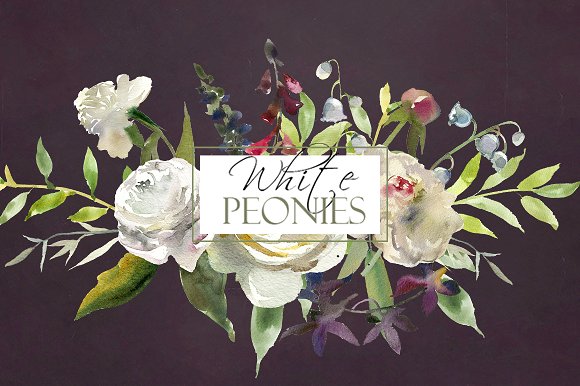 白色水彩花卉剪贴画 Watercolor White Flowers Clipart插图(9)