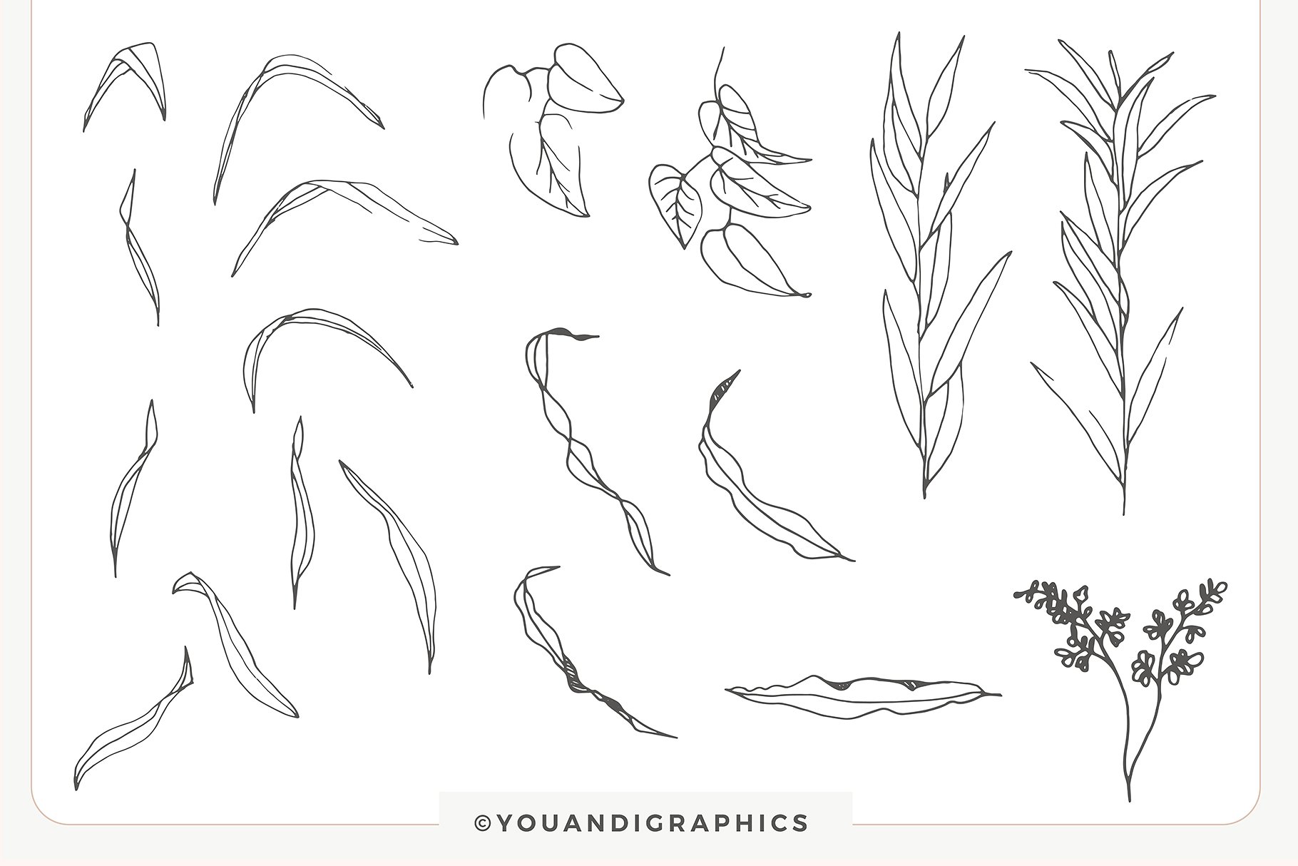 浪漫手绘色彩落叶树枝元素 Hand drawn Leaves Collection插图(8)