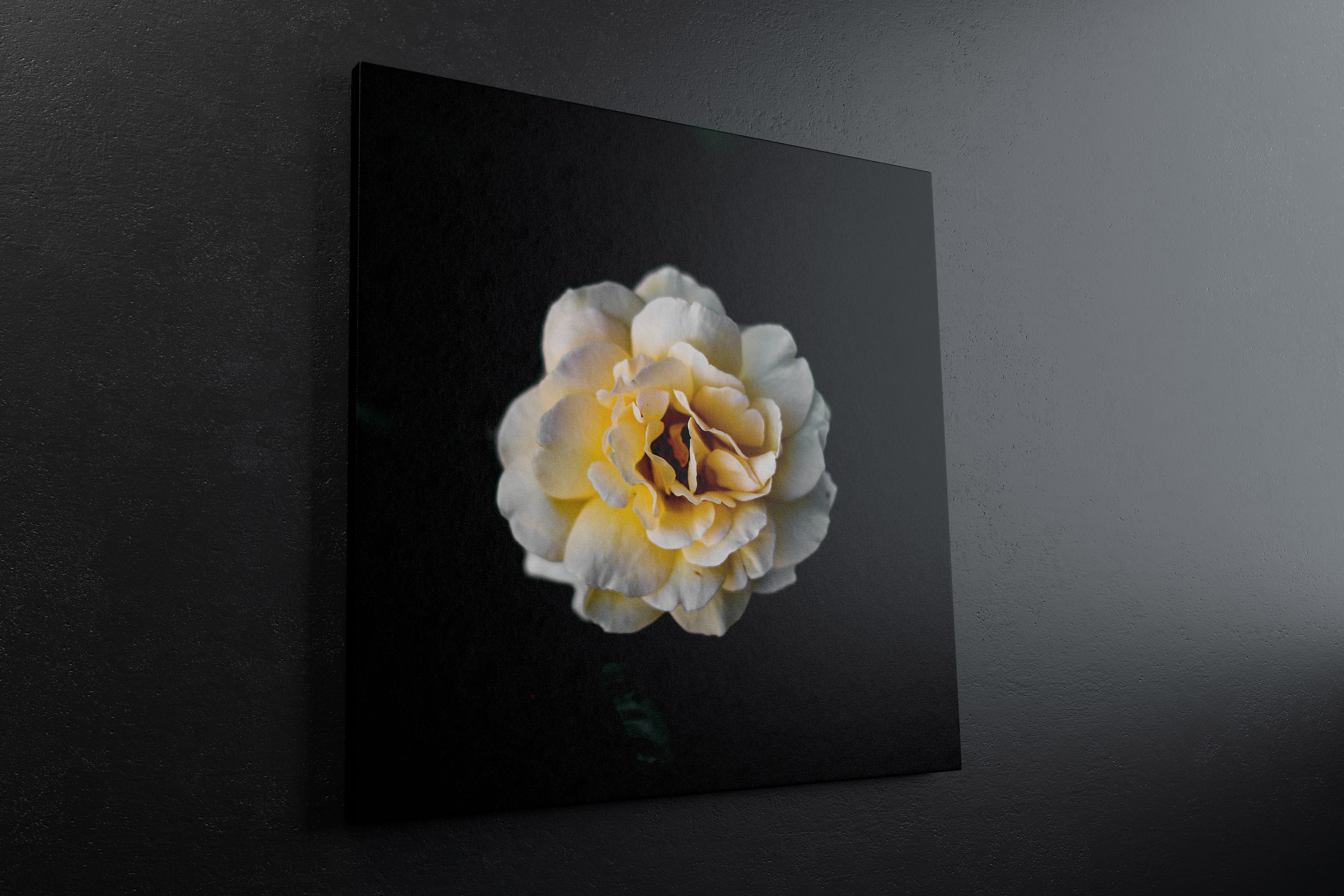 挂墙方形画布画框左视图样机模板 Square Canvas Mockup Hanging on Wall, Left View插图(3)