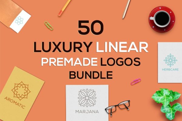 50款线形 Logo 模板合集 50 Linear Premade Logo Bundle