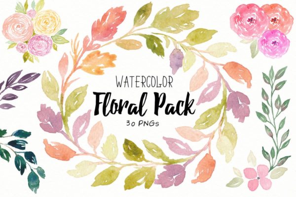 30款花卉&amp;叶子水彩插画合集 Floral Watercolor Collection