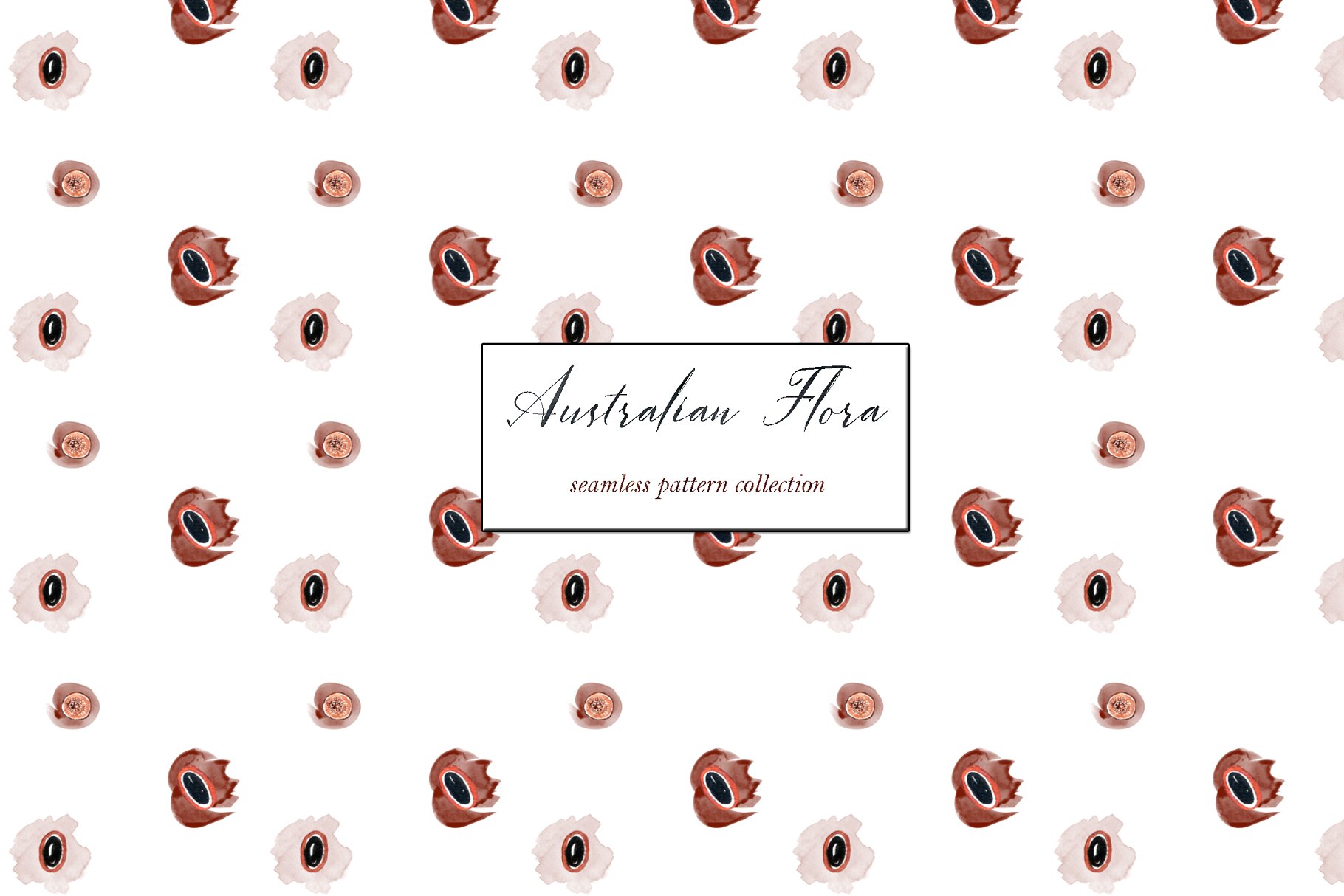 澳大利亚植物水彩剪贴画 Australian Flora Premium watercolor插图(12)