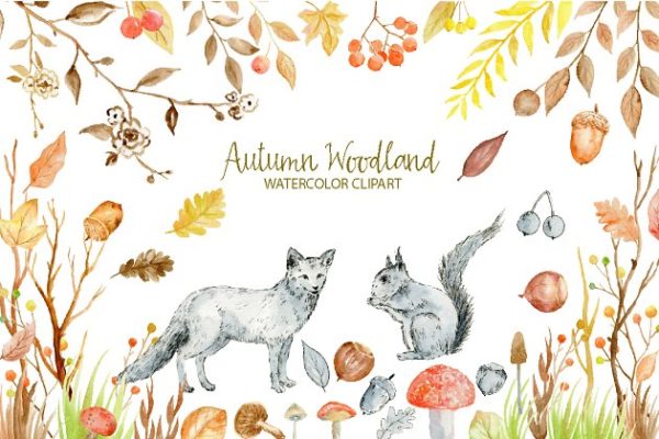 水彩秋季林地剪贴画合集 Watercolor Clipart Autumn Woodland