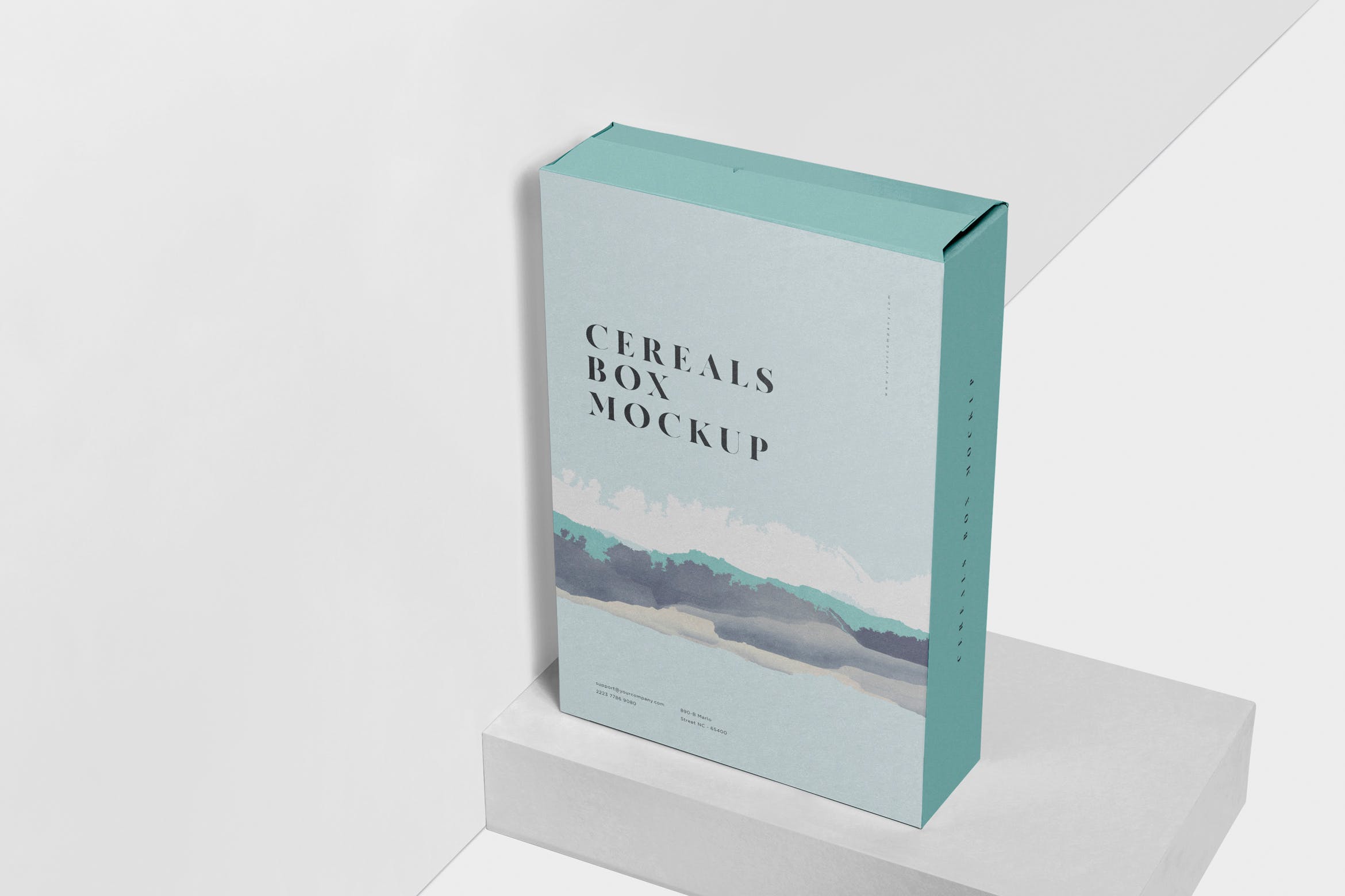 大尺寸麦片盒包装外观设计素材库精选 Cereals Box Mockup – Big Size in Rectangular Shape插图