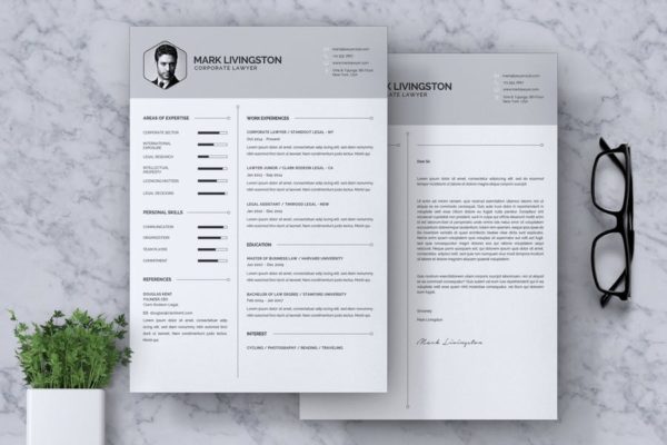律师/律师助理职业应聘简历模板 Corporate Lawyer CV Resume