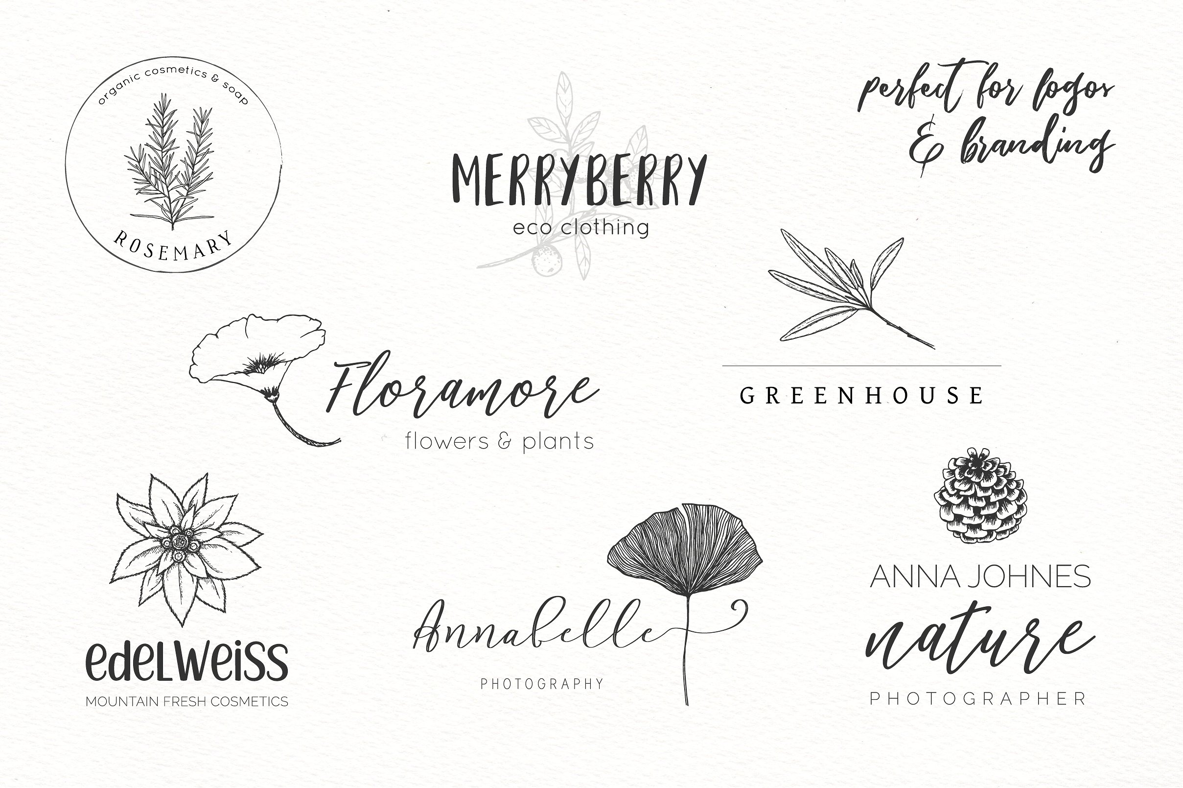 手绘植物矢量插图包插图(3)