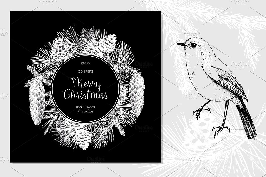 矢量针叶树图形素材集 Vector Conifer Trees Collection插图(4)