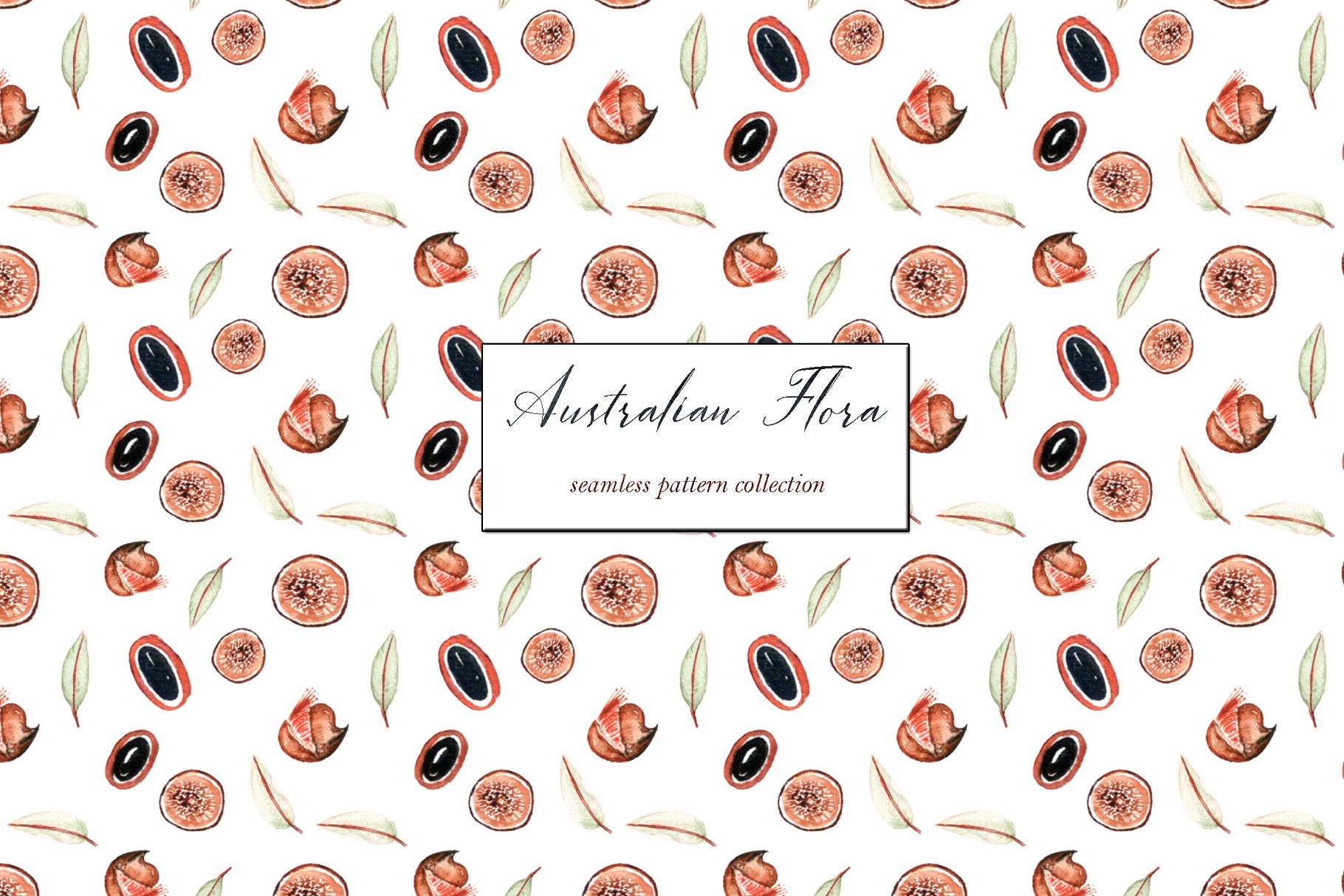 澳大利亚植物水彩剪贴画 Australian Flora Premium watercolor插图(14)