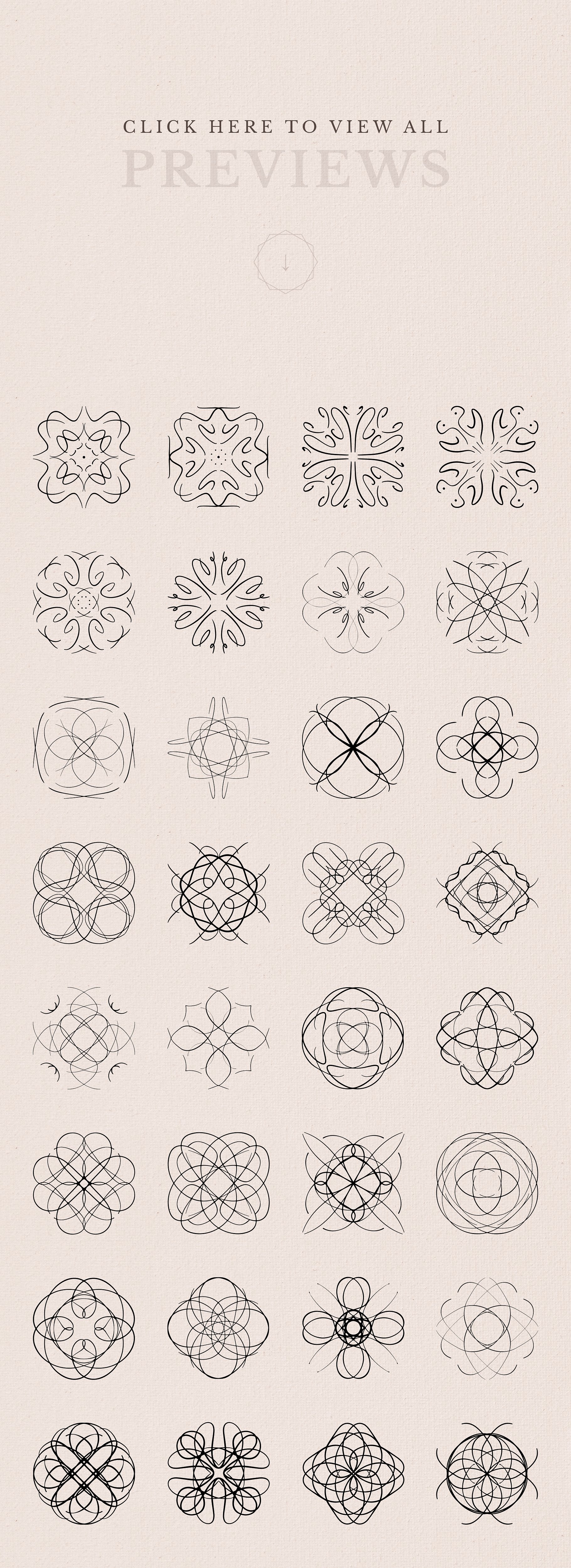 优雅装饰元素插画 Elegant Decorative Ornaments插图(5)