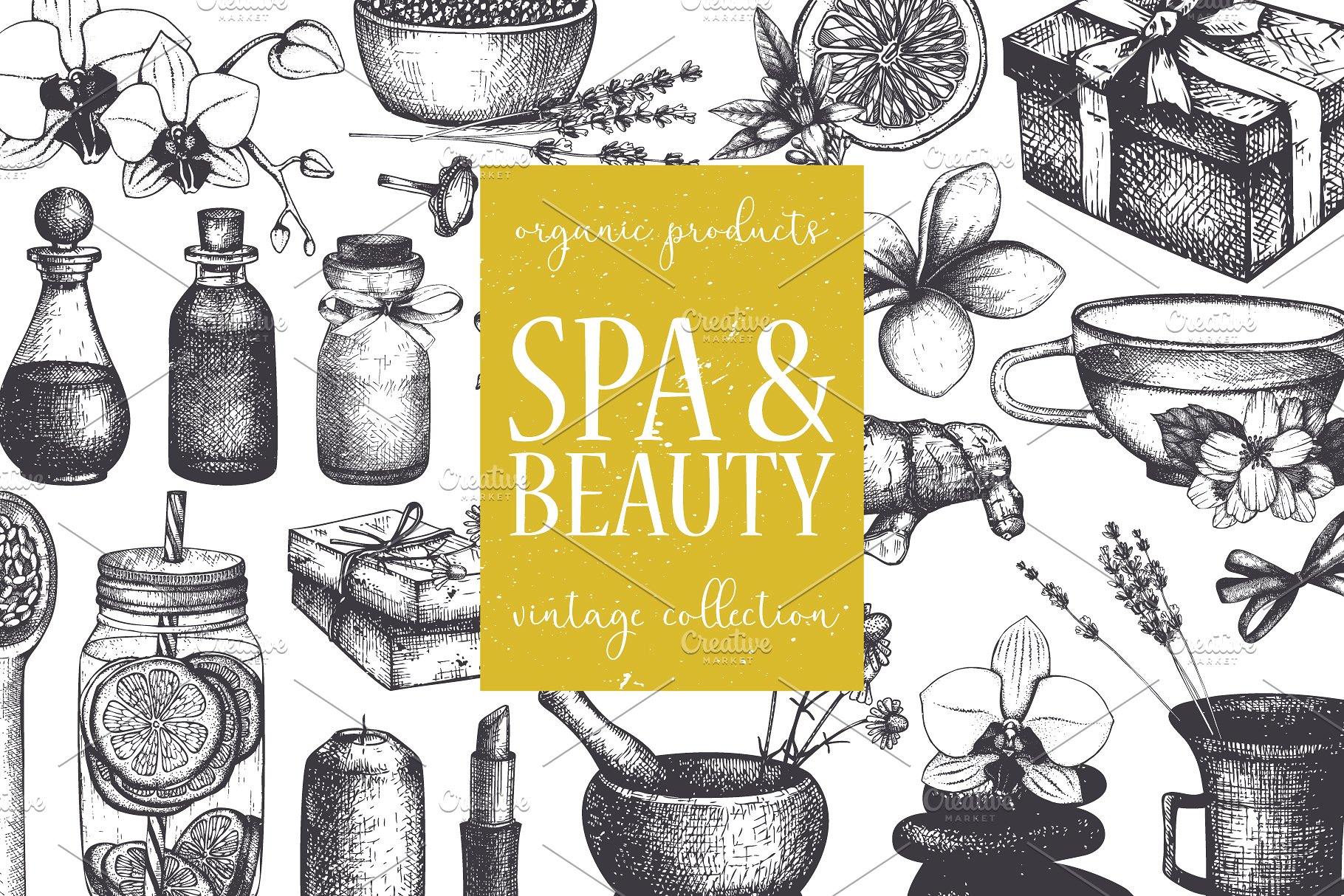 西方美容美妆设计素材 Beauty & SPA Designs Collection插图