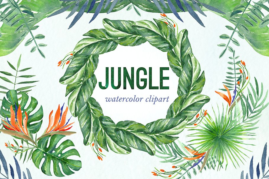 热带树叶树枝水彩画 Tropical leaves branches watercolors插图(2)