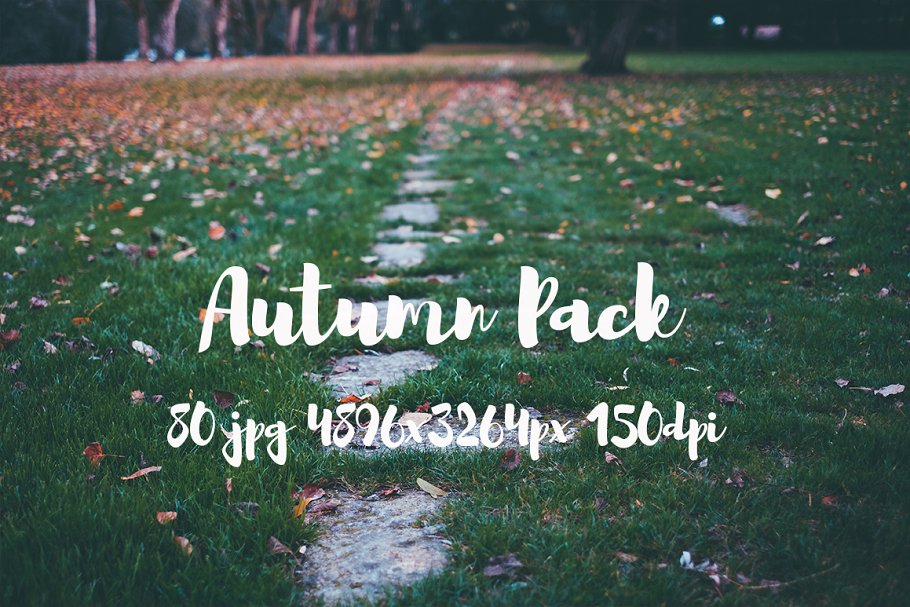 秋天主题高清风景照片素材 Autumn photo Pack插图(7)