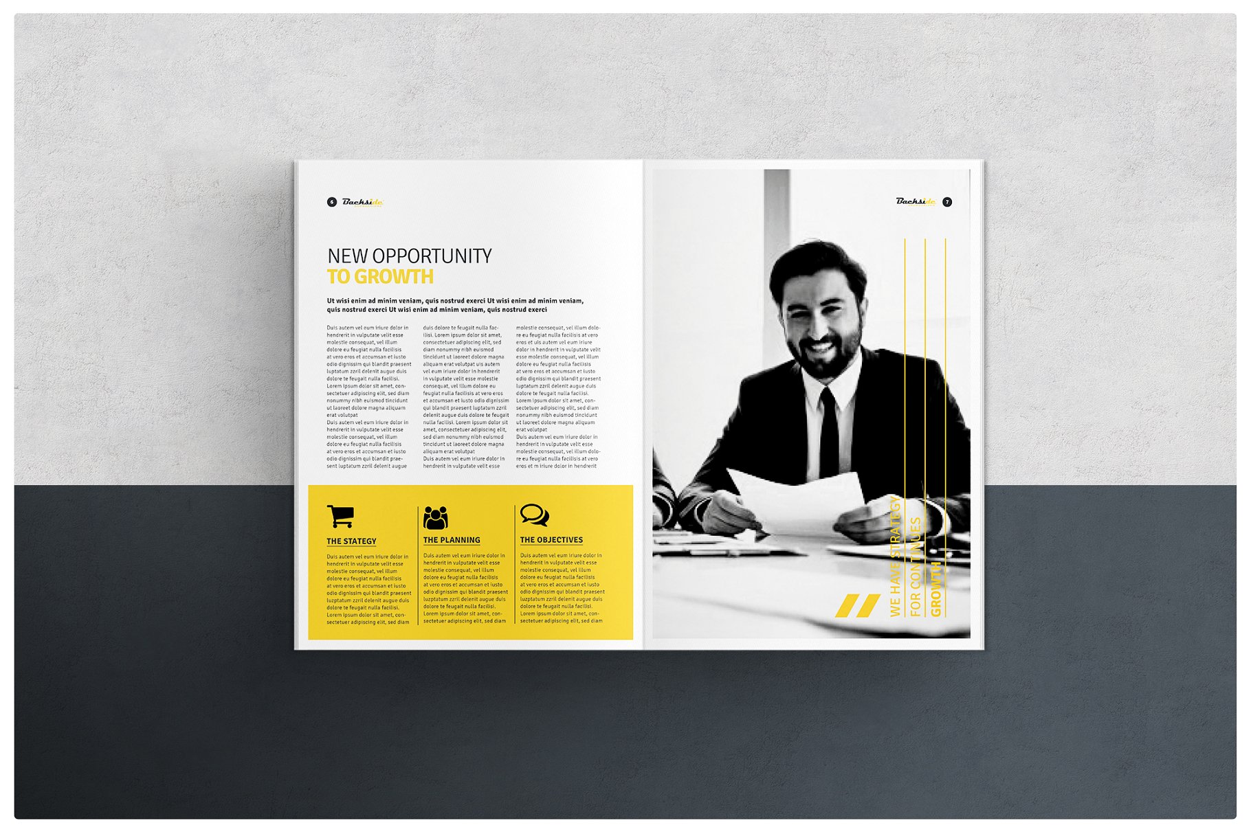 企业项目介绍画册模板 Brochure插图(3)