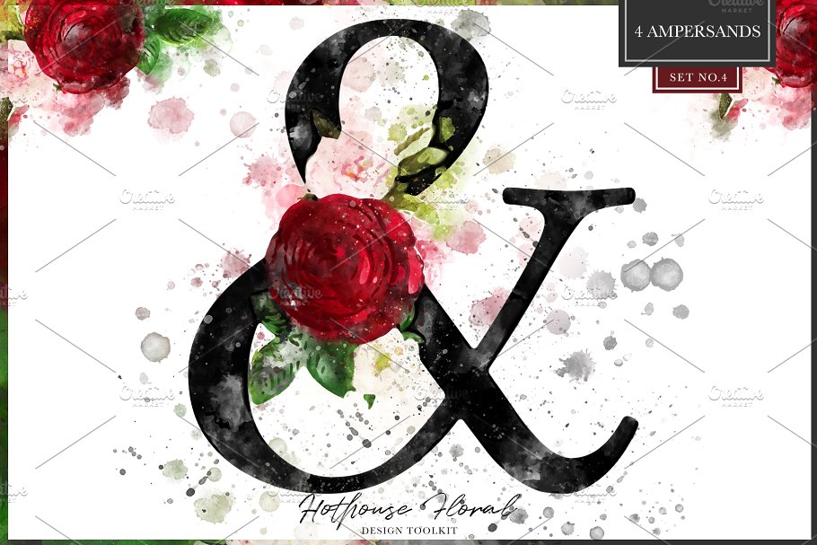 数码绘制温室花卉设计素材包(独立花卉元素&花式字母数字) Hothouse Floral Design ToolKit插图(17)