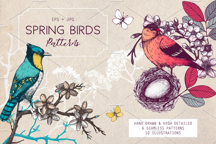 春季手绘小鸟自然元素 Hand Drawn Spring Birds Patterns插图
