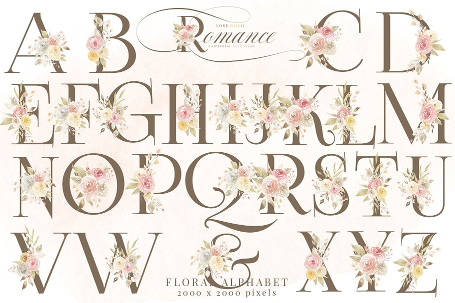 玫瑰金浪漫水彩花卉剪贴画 Rose Gold Romance Watercolor Flowers插图(3)