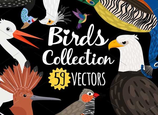 海量各种鸟手绘矢量素材 Big set of Different Birds