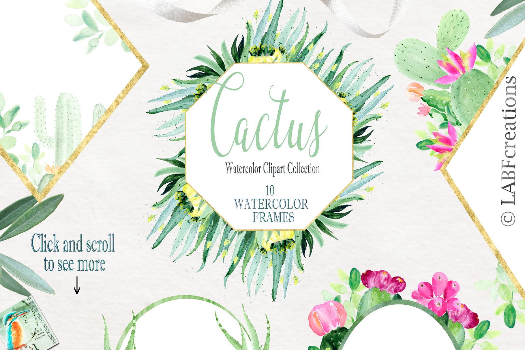 仙人掌水彩剪贴画合集 Cactus watercolr clipart collection插图(8)