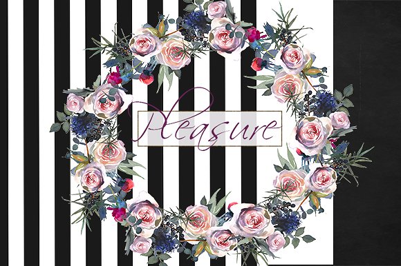 粉红玫瑰/蓝蓟水彩剪贴画 Pink Roses Blue Thistle Clipart插图(4)