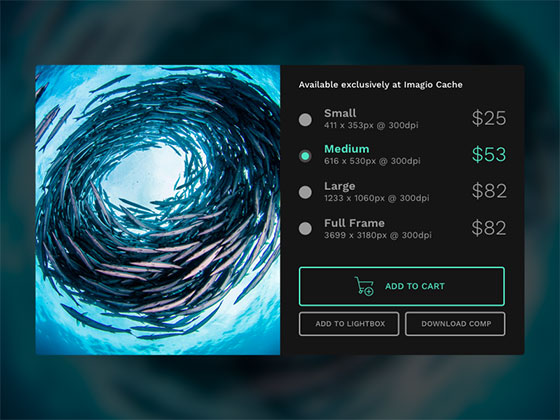 加入购物车素材之家精选sketch素材