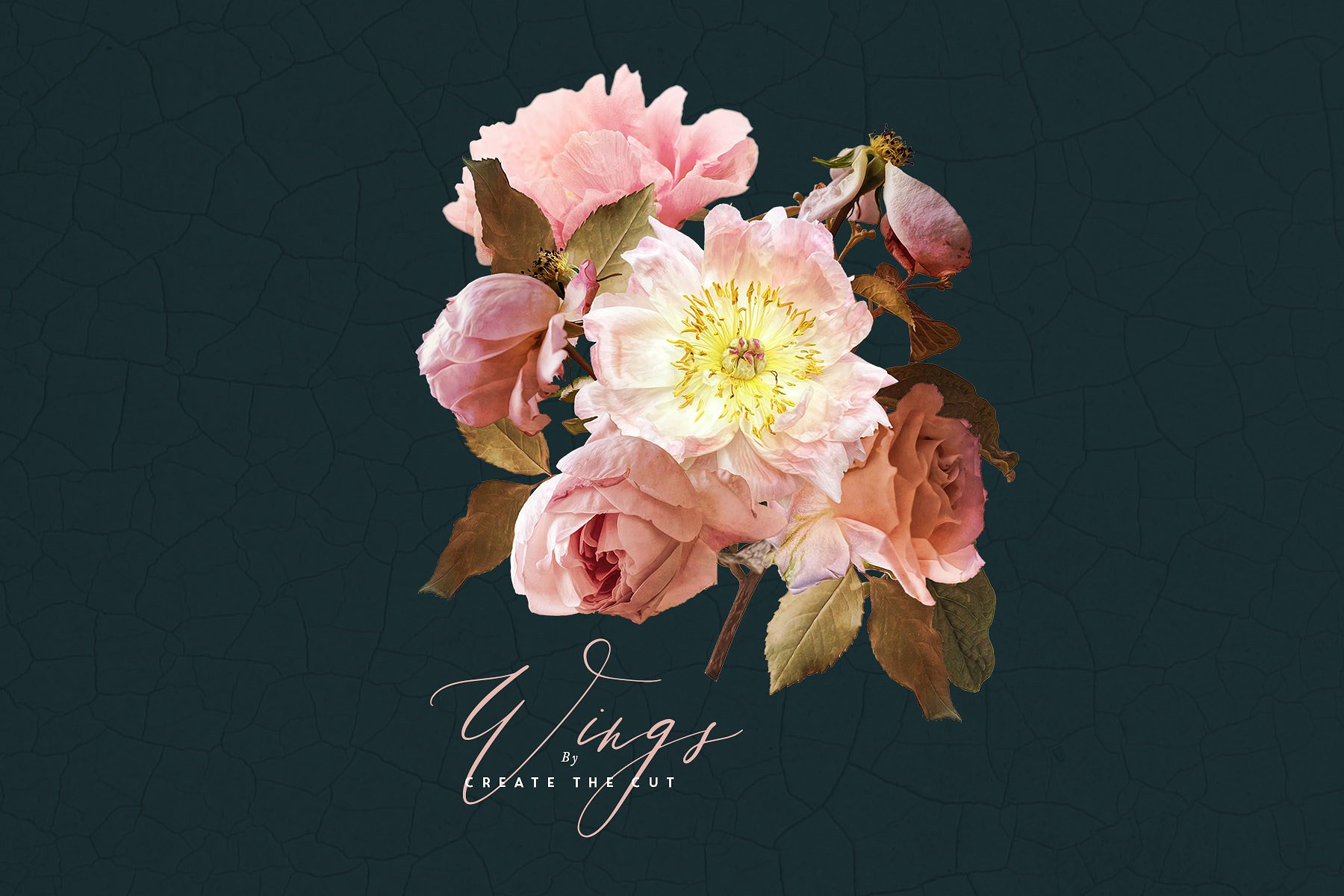 数字手绘粉色绽放牡丹插画 Digital Flower Clip Art – Wings插图(9)