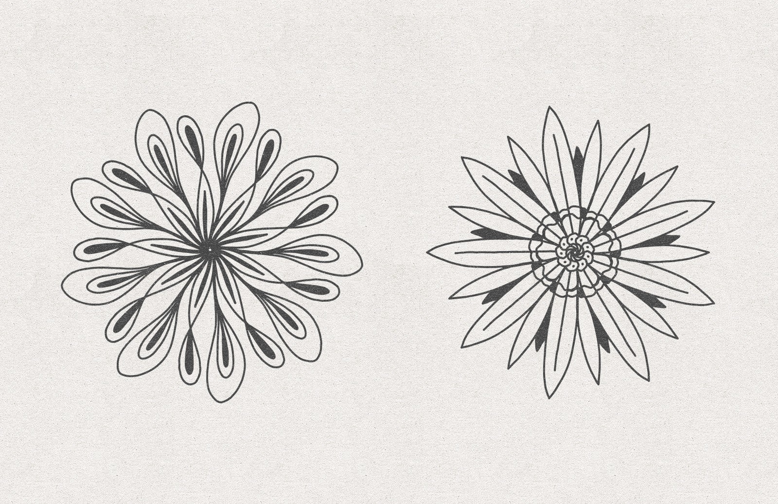 矢量花卉素材 Vector Floral Radial Illustrations [AI, SVG]插图(4)