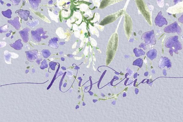 紫藤婚礼婚庆水彩画素材 Wisteria wedding watercolors