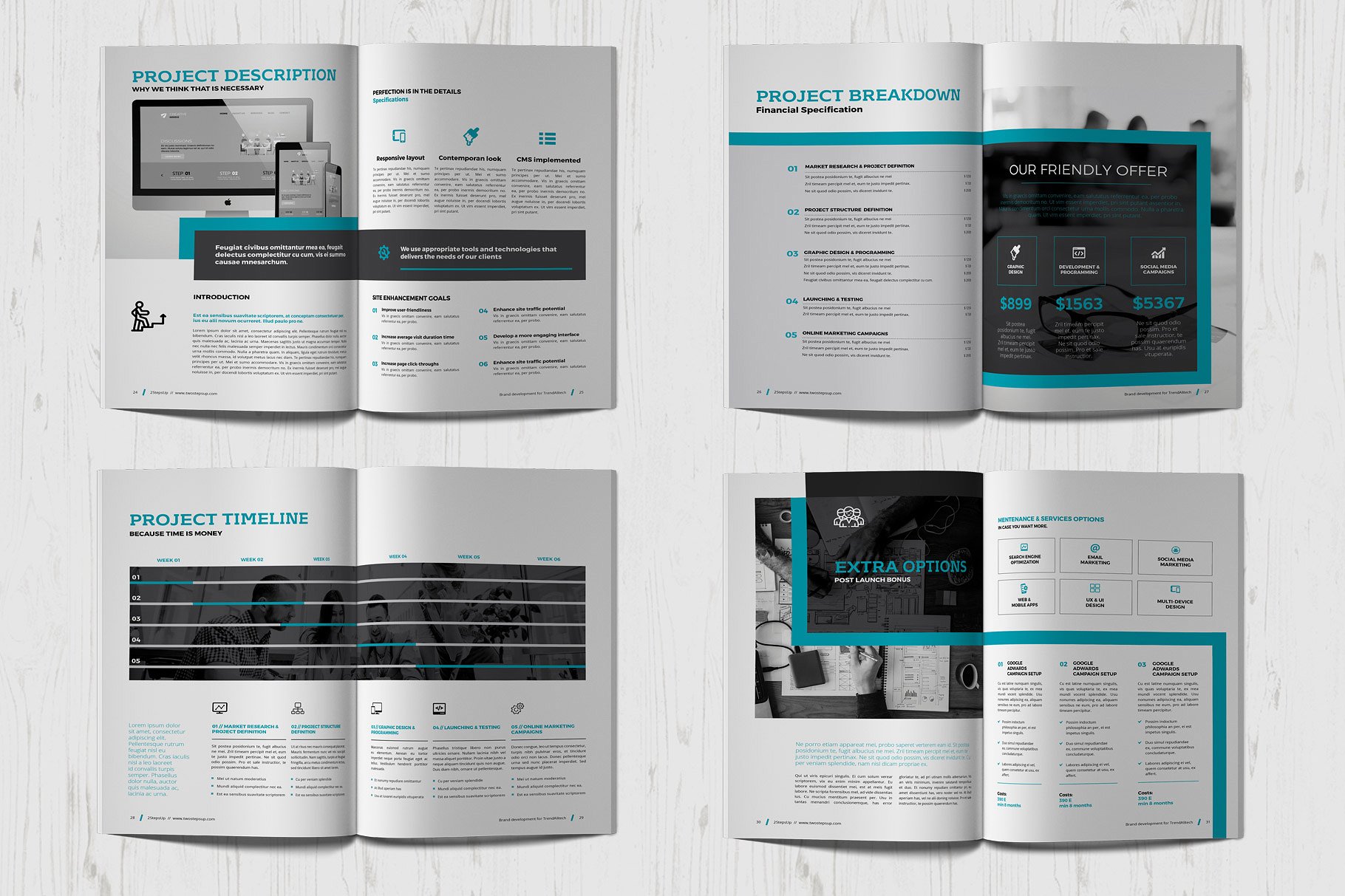 商业项目计划书手册模板 Proposal插图(8)