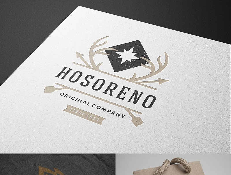 100款复古风格Logo徽章设计元素 100 Retro objects for logos插图(4)