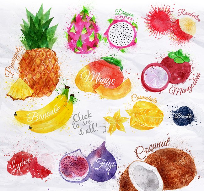 各种水果水彩剪贴画 Fruit Watercolor插图(1)
