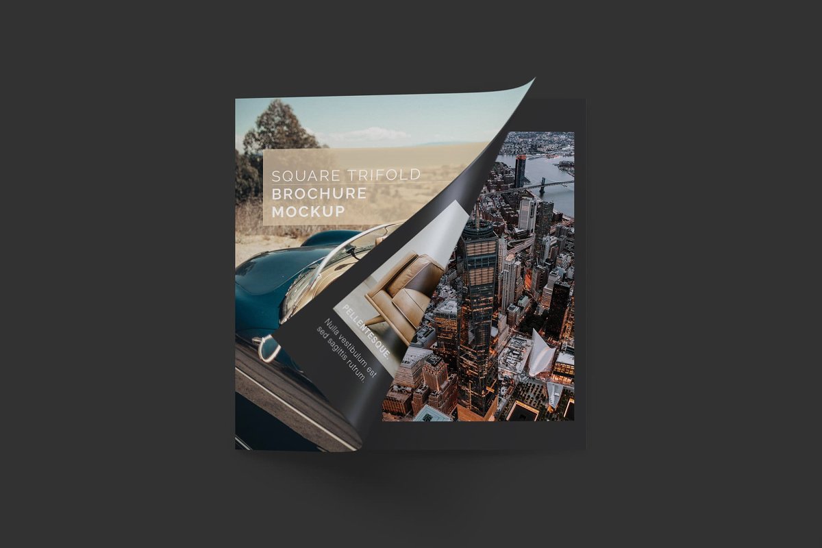 方形三折页宣传册样机插图(2)