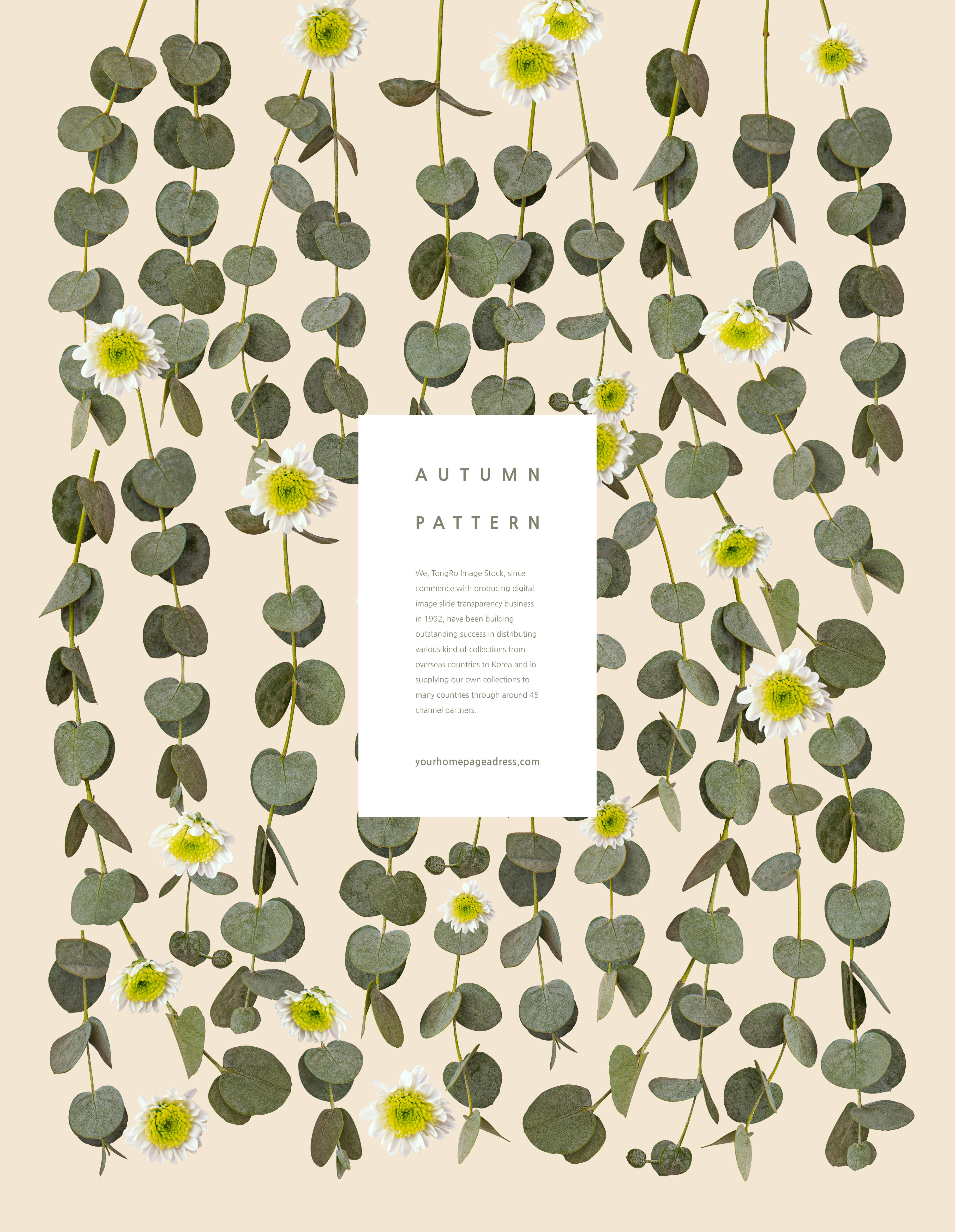 秋季叶子花卉图案素材插图