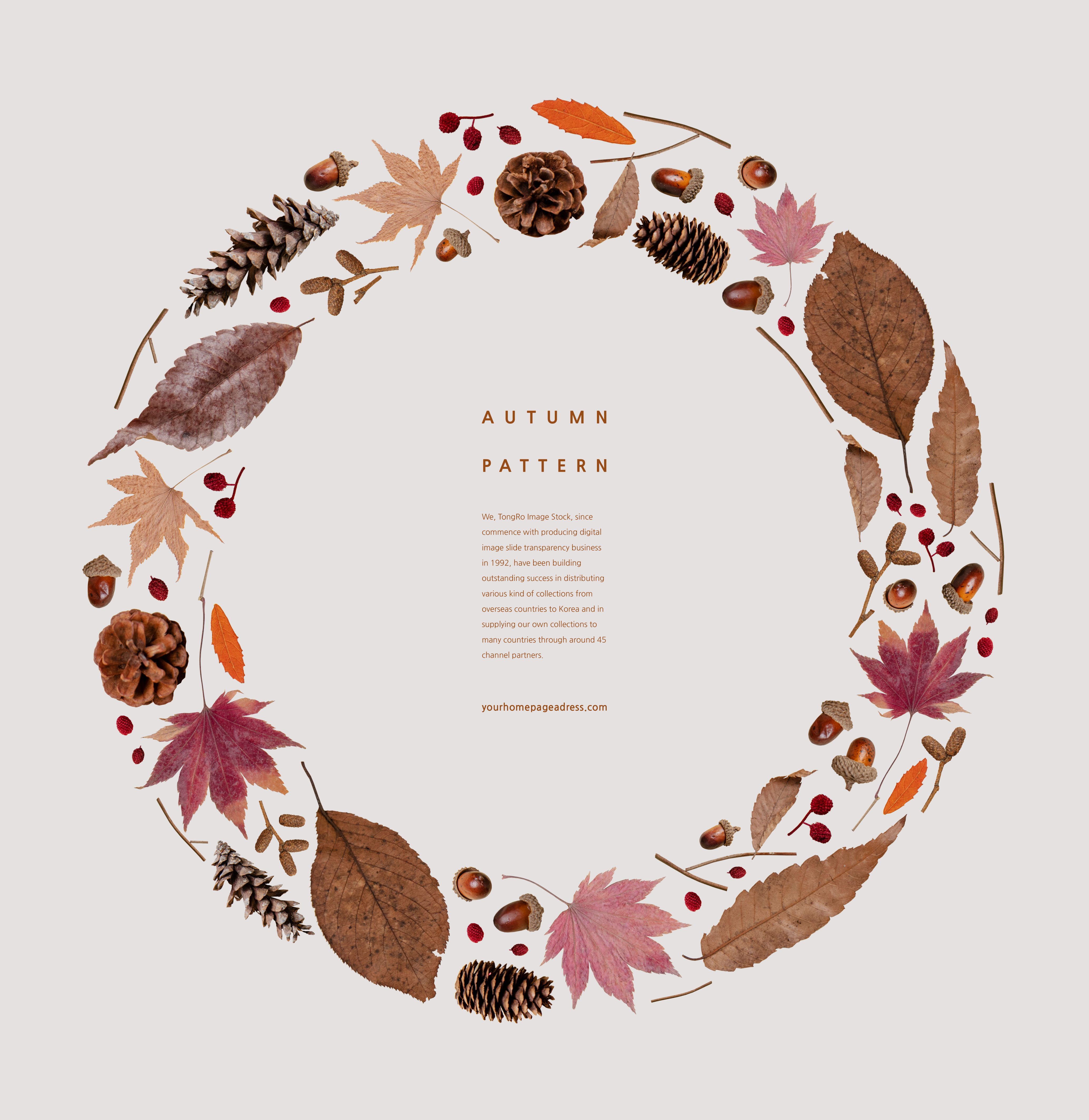 秋季叶子&野果图案背景psd素材插图