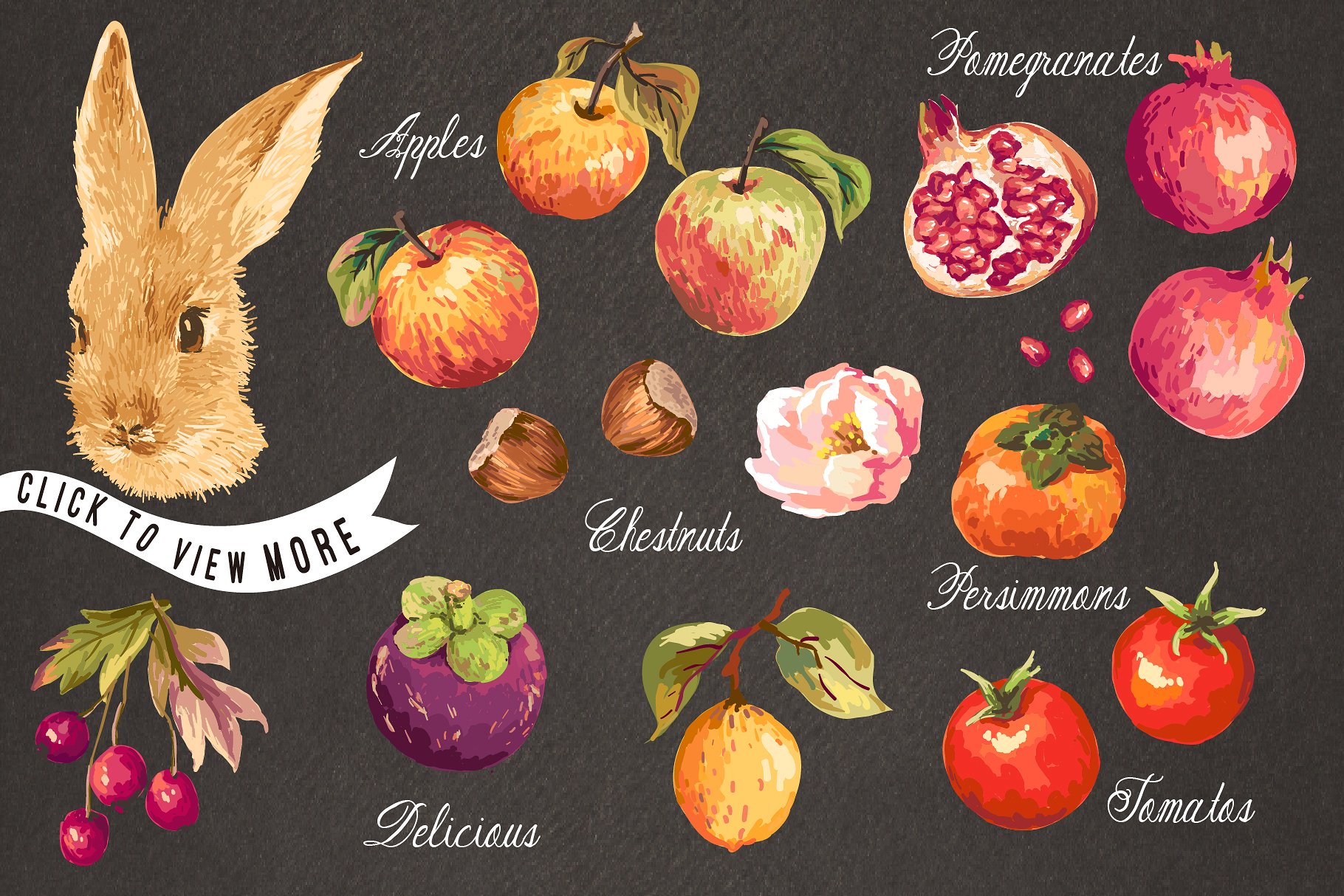 秋天主题手绘图案设计素材合集 Hand drawn autumn collection插图(2)