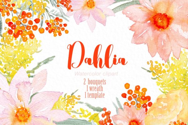 粉红色和橙色天竺牡丹水彩画素材 Pink &amp; orange Dahlia Watercolors