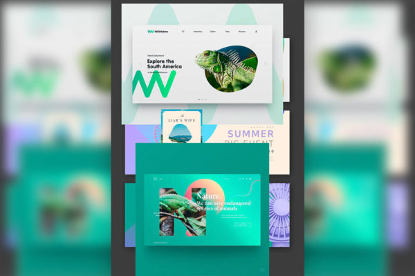 夏季主题网站着陆页&Banner设计模板