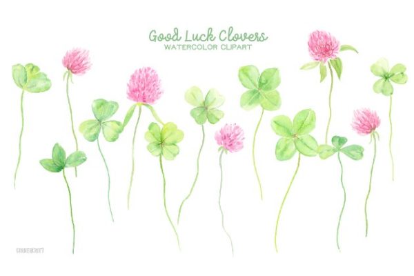 幸运水彩花卉剪贴画 Watercolor Clipart Good Luck Clovers